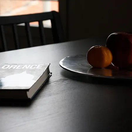 Bronzino Loft Διαμέρισμα Φλωρεντία