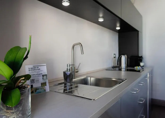 Bronzino Loft Apartament *