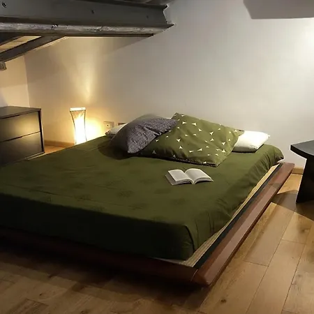 Bronzino Loft Апартаменты