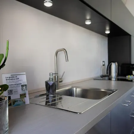 Bronzino Loft Апартаменты *
